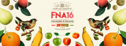 e91c88261b3e7aa423b4bef3bde717ce